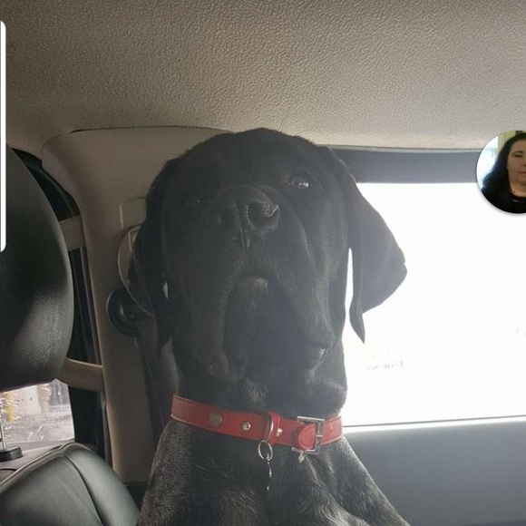 Meet your Posher, Valerie - Picture 1 of 1